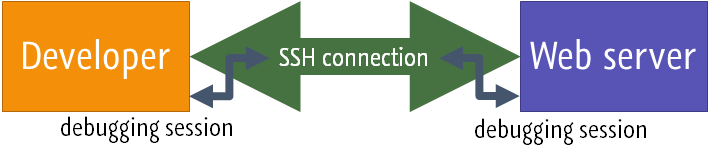 JetBrains 官方文档关于 SSH 隧道的插图